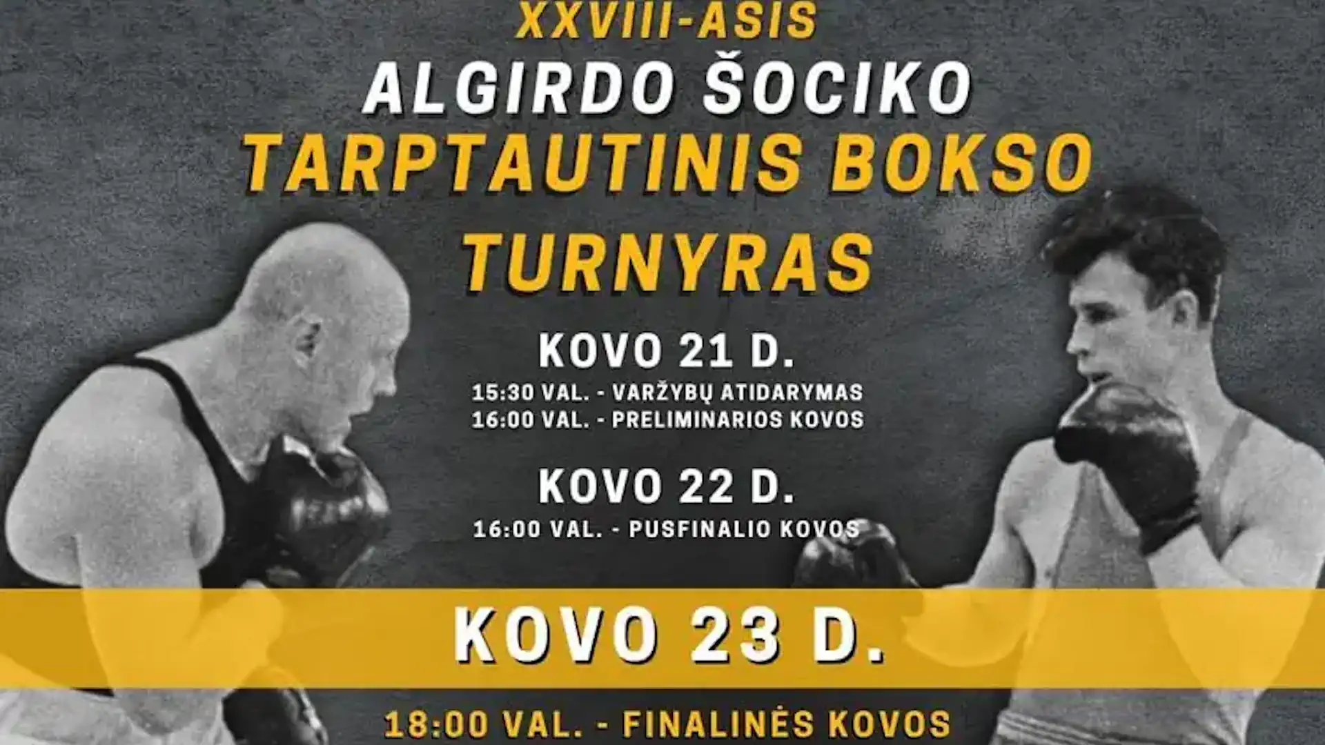 Онлайн трансляция турнира по боксу имени Альгирдаса Шоцикса